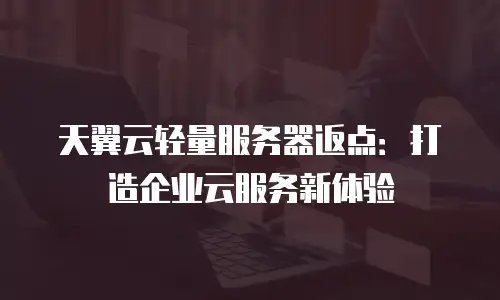 天翼云轻量服务器返点：打造企业云服务新体验