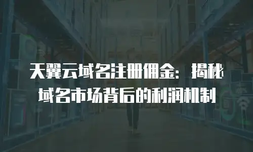 天翼云域名注册佣金：揭秘域名市场背后的利润机制