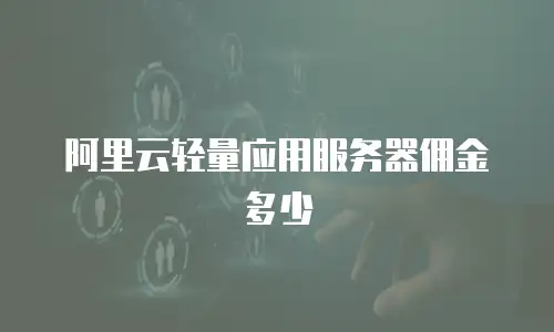 阿里云轻量应用服务器佣金多少