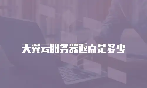 天翼云服务器返点是多少