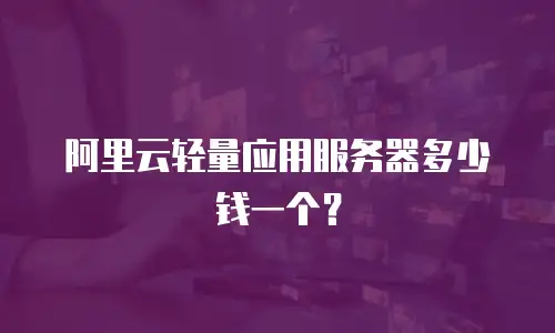 阿里云轻量应用服务器多少钱一个？