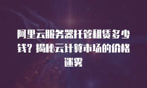 阿里云服务器托管租赁多少钱？揭秘云计算市场的价格迷雾