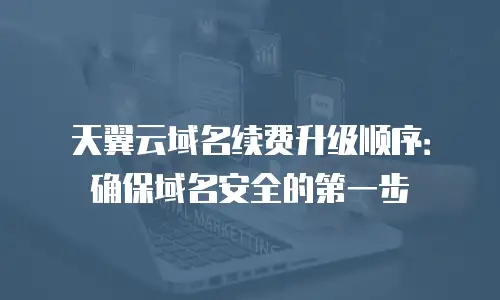 天翼云域名续费升级顺序：确保域名安全的第一步