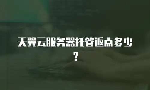 天翼云服务器托管返点多少？