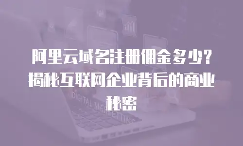阿里云域名注册佣金多少？揭秘互联网企业背后的商业秘密