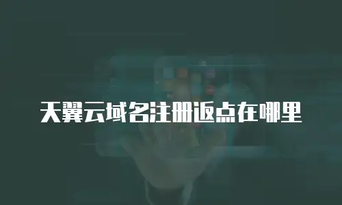 天翼云域名注册返点在哪里