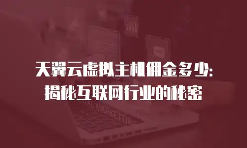 天翼云虚拟主机佣金多少：揭秘互联网行业的秘密