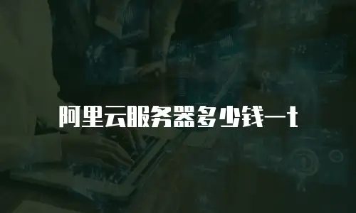 阿里云服务器多少钱一t