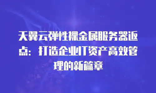 天翼云弹性裸金属服务器返点：打造企业IT资产高效管理的新篇章
