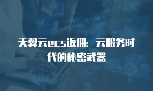 天翼云ecs返佣：云服务时代的秘密武器