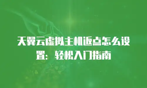 天翼云虚拟主机返点怎么设置：轻松入门指南