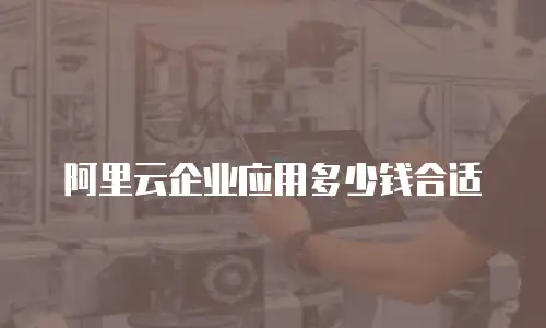 阿里云企业应用多少钱合适