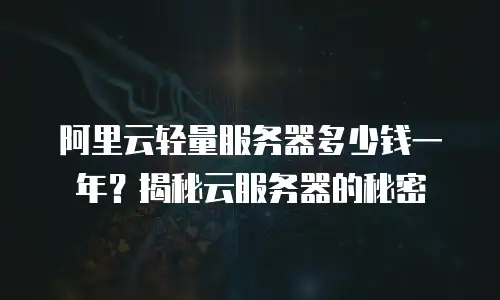阿里云轻量服务器多少钱一年？揭秘云服务器的秘密