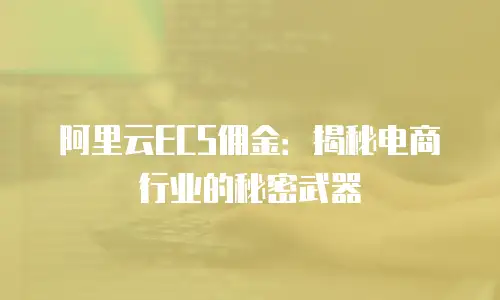 阿里云ECS佣金：揭秘电商行业的秘密武器