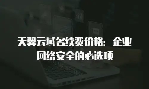 天翼云域名续费价格：企业网络安全的必选项