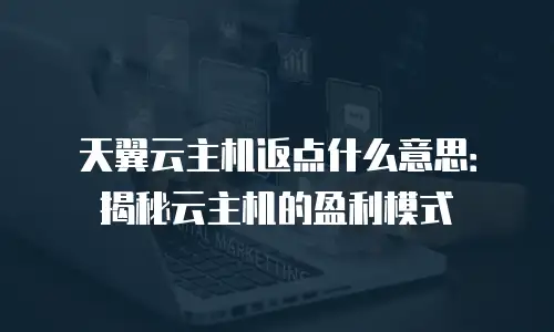 天翼云主机返点什么意思：揭秘云主机的盈利模式