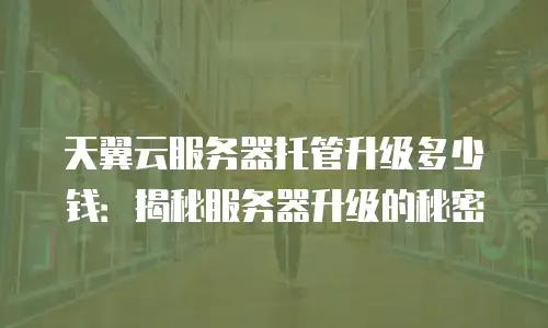 天翼云服务器托管升级多少钱：揭秘服务器升级的秘密