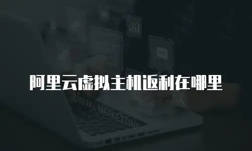 阿里云虚拟主机返利在哪里