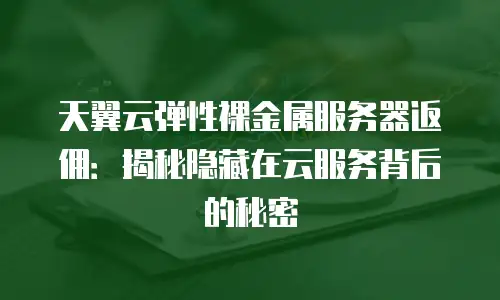 天翼云弹性裸金属服务器返佣：揭秘隐藏在云服务背后的秘密