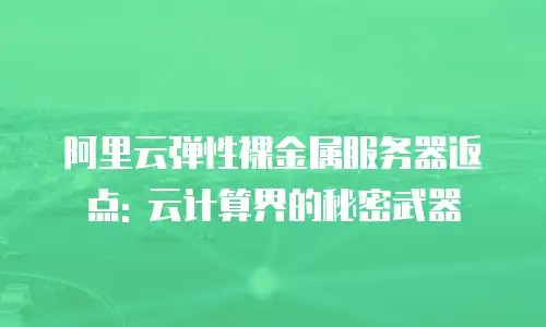 阿里云弹性裸金属服务器返点: 云计算界的秘密武器