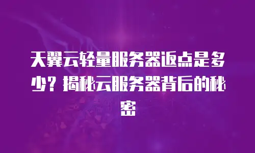天翼云轻量服务器返点是多少？揭秘云服务器背后的秘密