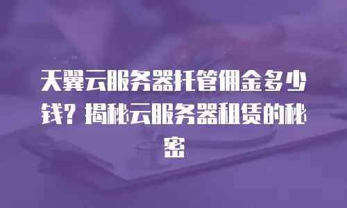 天翼云服务器托管佣金多少钱？揭秘云服务器租赁的秘密