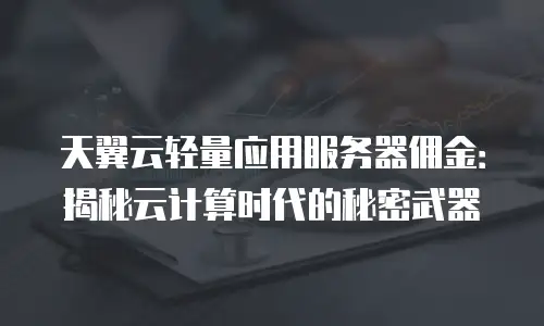 天翼云轻量应用服务器佣金：揭秘云计算时代的秘密武器