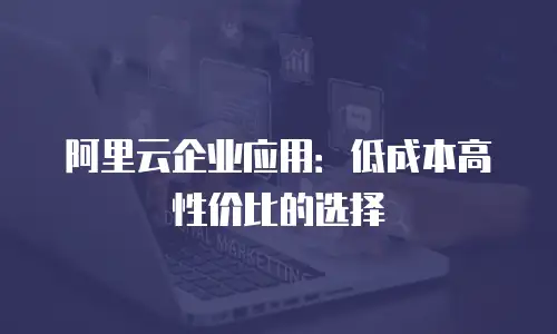 阿里云企业应用：低成本高性价比的选择