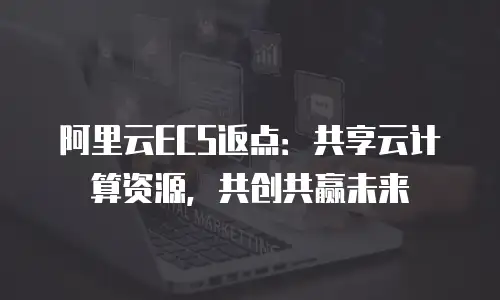 阿里云ECS返点：共享云计算资源，共创共赢未来