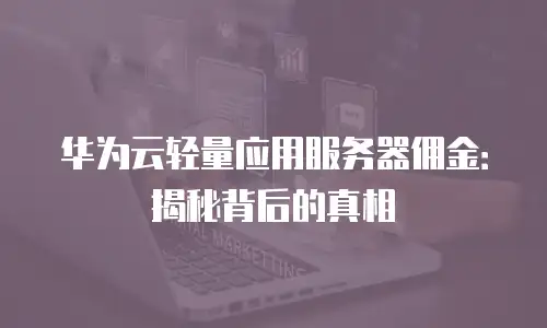 华为云轻量应用服务器佣金：揭秘背后的真相