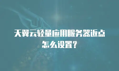 天翼云轻量应用服务器返点怎么设置？