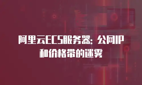 阿里云ECS服务器: 公网IP和价格带的迷雾