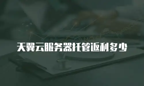 天翼云服务器托管返利多少