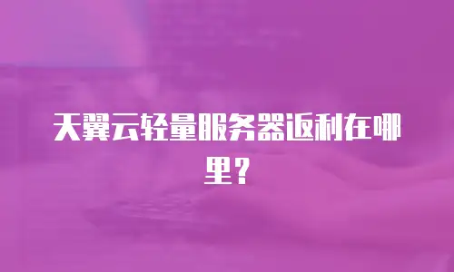 天翼云轻量服务器返利在哪里？