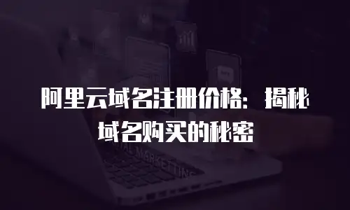 阿里云域名注册价格：揭秘域名购买的秘密