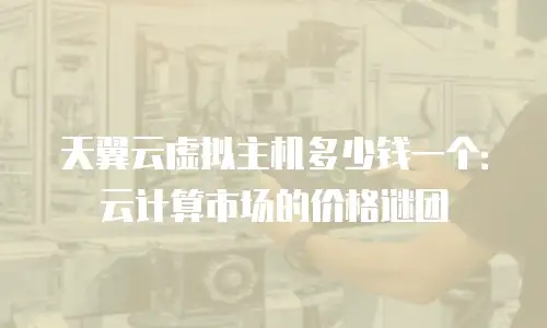 天翼云虚拟主机多少钱一个：云计算市场的价格谜团
