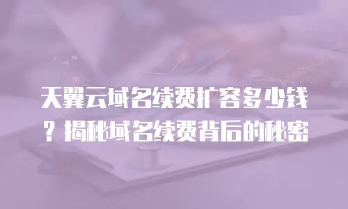 天翼云域名续费扩容多少钱？揭秘域名续费背后的秘密