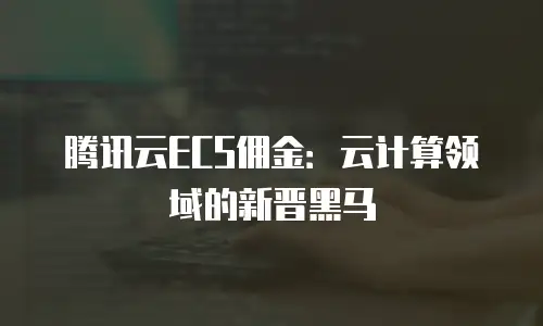 腾讯云ECS佣金：云计算领域的新晋黑马