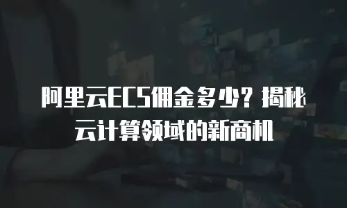 阿里云ECS佣金多少？揭秘云计算领域的新商机