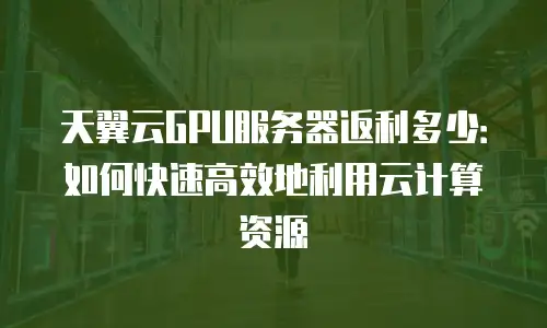 天翼云GPU服务器返利多少：如何快速高效地利用云计算资源