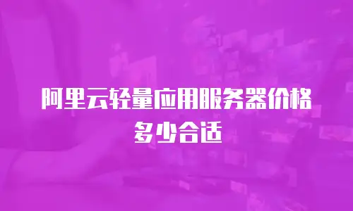 阿里云轻量应用服务器价格多少合适