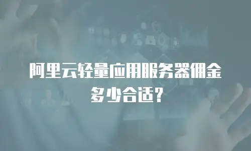 阿里云轻量应用服务器佣金多少合适？