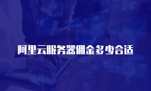 阿里云服务器佣金多少合适