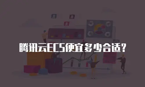 腾讯云ECS便宜多少合适？