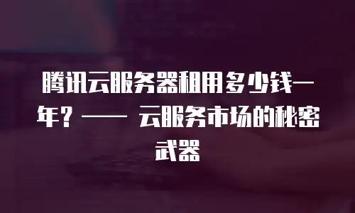 腾讯云服务器租用多少钱一年？—— 云服务市场的秘密武器