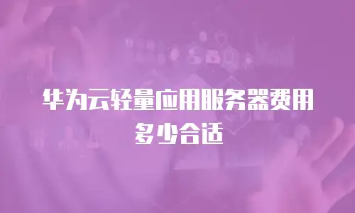 华为云轻量应用服务器费用多少合适