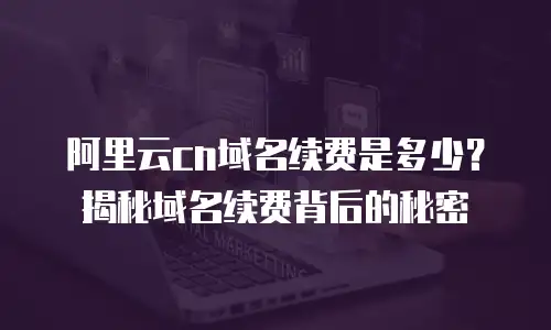 阿里云cn域名续费是多少？揭秘域名续费背后的秘密