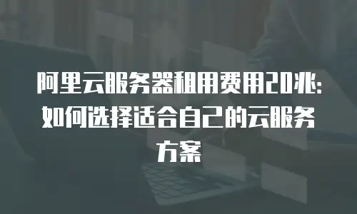阿里云服务器租用费用20兆：如何选择适合自己的云服务方案