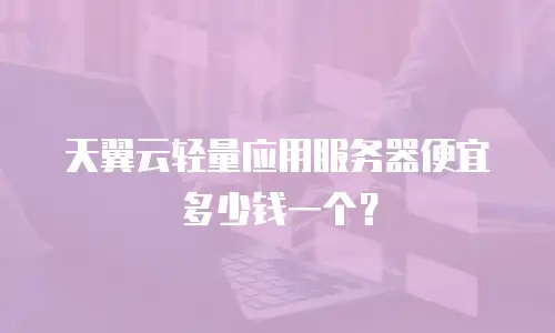 天翼云轻量应用服务器便宜多少钱一个？