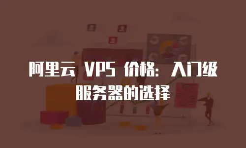 阿里云 VPS 价格：入门级服务器的选择
